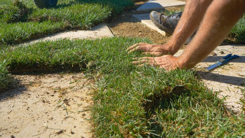 Damaged Yard Repair in Honolulu, HI