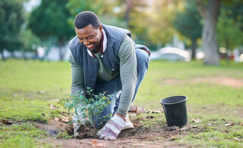 Flower Planting Service in Honolulu, HI