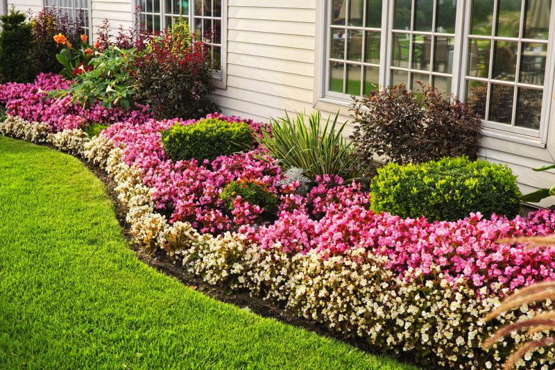 Privacy Hedge Planting in Honolulu, HI
