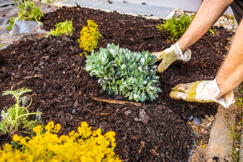 Weeding And Mulching in Honolulu, HI